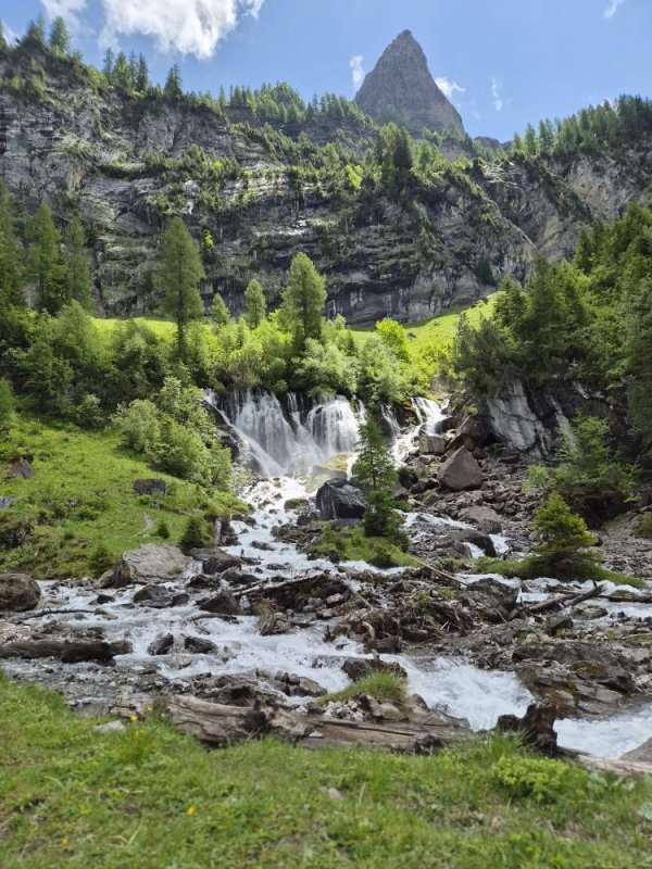 Bild%203